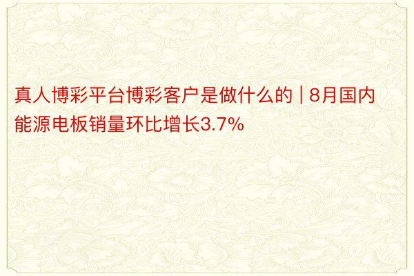 真人博彩平台博彩客户是做什么的 | 8月国内能源电板销量环比增长3.7%